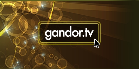 Solutions web pour les Caraïbes par gandor.tv